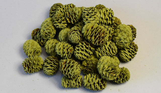 Image for Meridianum vopsit verde oliv