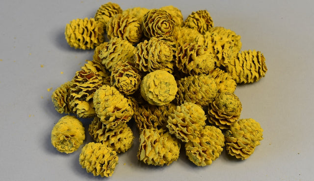 Image for Meridianum vopsit galben