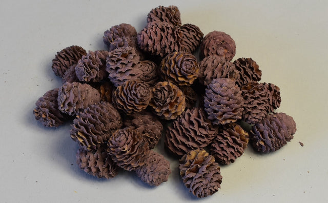 Image for Meridianum vopsit mure