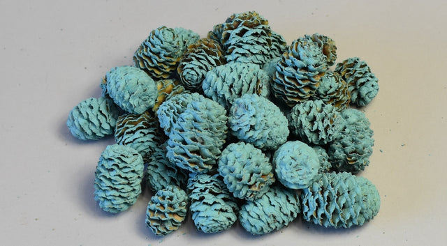 Image for Meridianum vopsit turcoaz