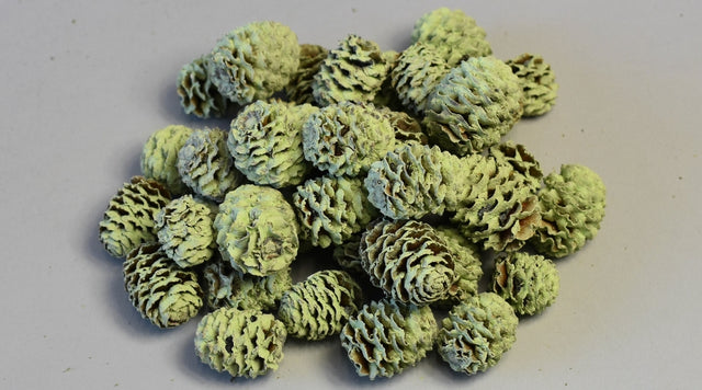 Image for Meridianum vopsit mar verde