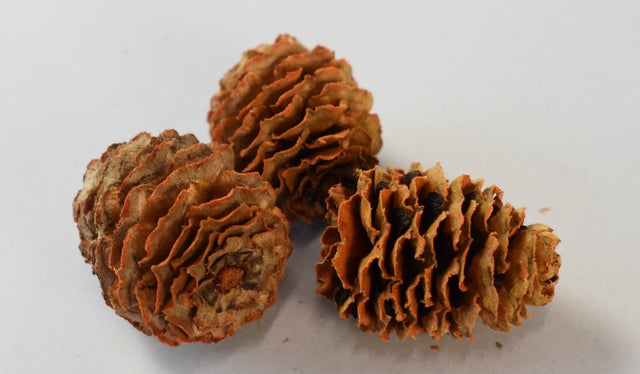 Image for Meridianum portocaliu