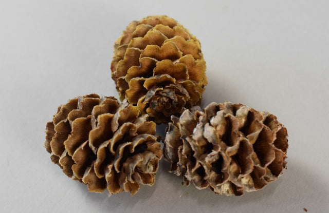 Image for Meridianum natur