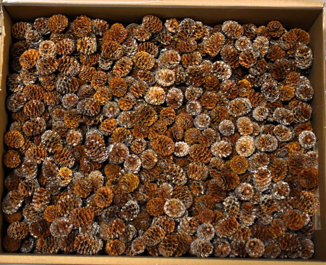 Image for Meridianum natur 2.7kg