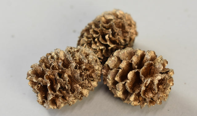 Image for Meridianum sampanie