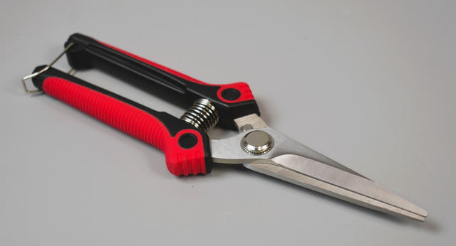 Image for Foarfeca profesional