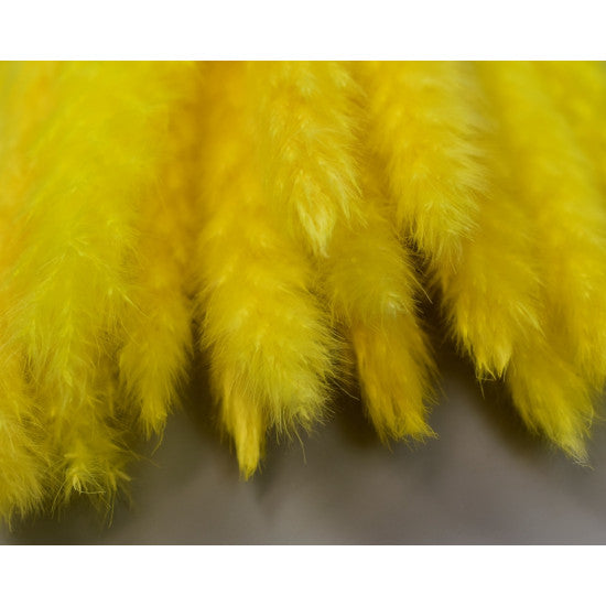 Iarba pampas mini inalbit miere