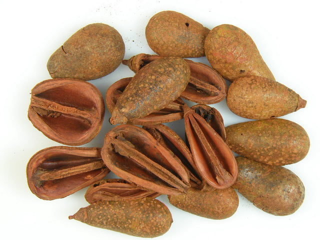 Image for Mike portocaliu