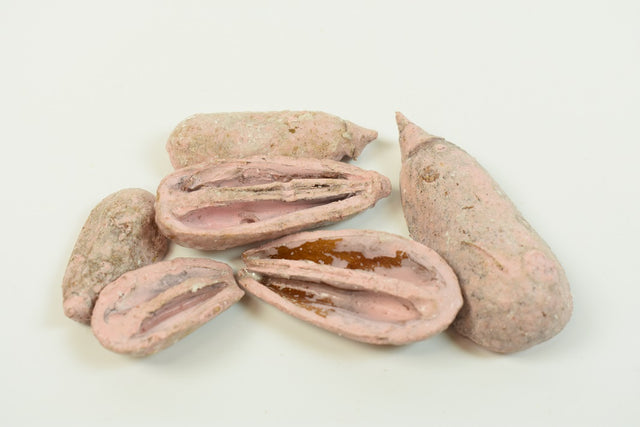 Image for Mike cerat roz