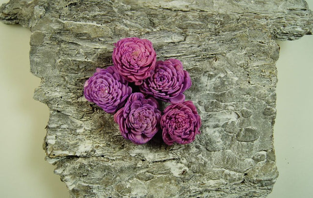 Image for Capete floricele ming 4cm mov