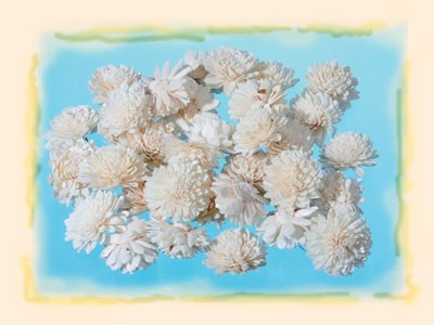 Image for Capete floricele ming 4cm natur