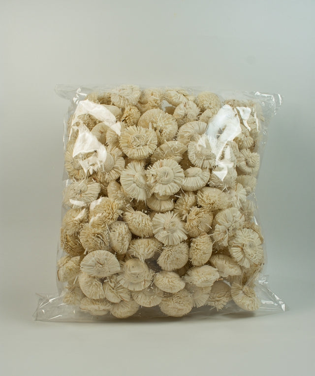 Image for Capete crizanteme ming 6cm natur