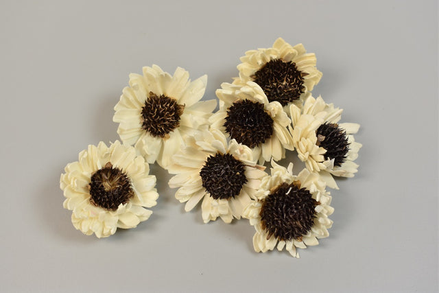 Image for Capete floarea soarelui ming natur