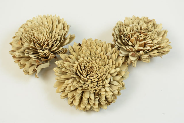 Image for Capete och.boului 8cm cirmos natur