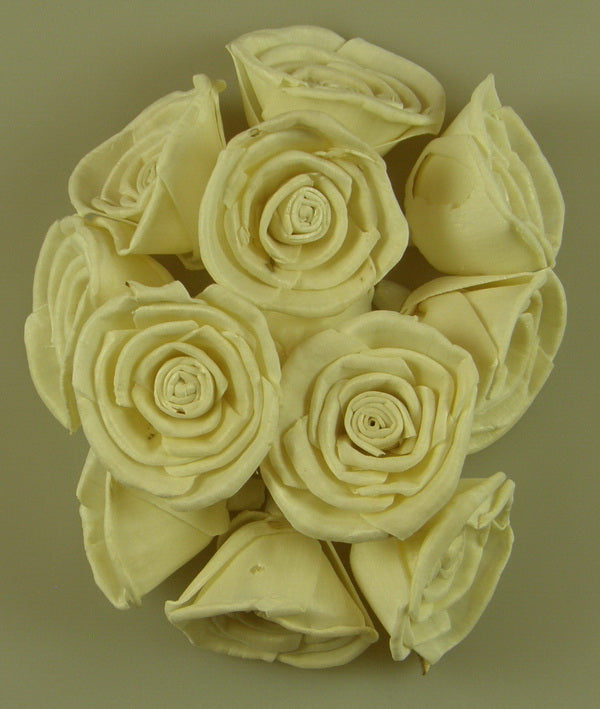 Image for Capete trandafiri ming 6cm natur