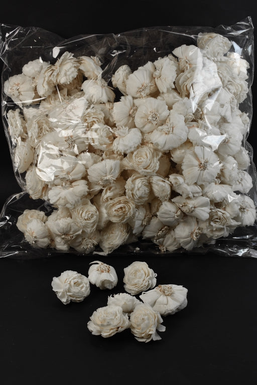 Image for Capete garoafe ming 6cm natur