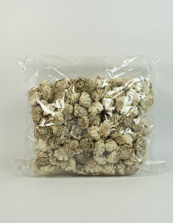 Image for Cap. anem. ming 4cm cirmos natur