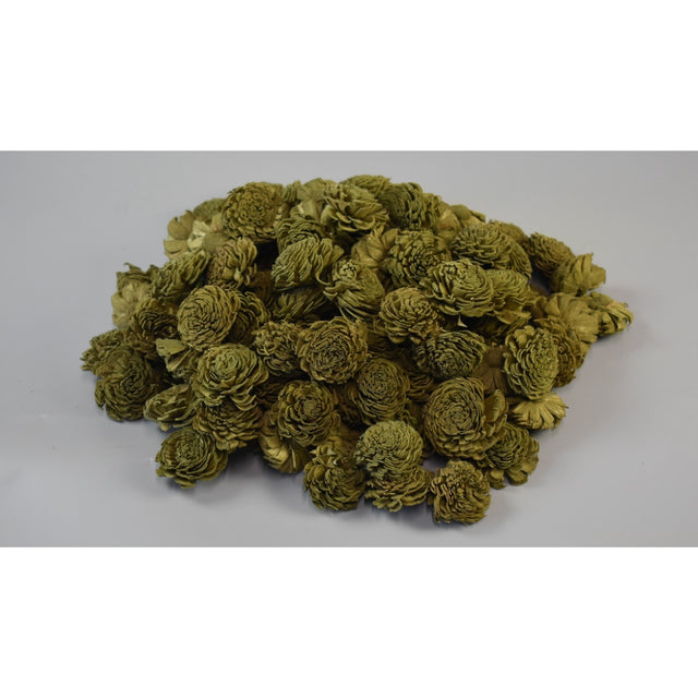 imagine produs Capete anemone ming 4cm prep. verde oliv S/15