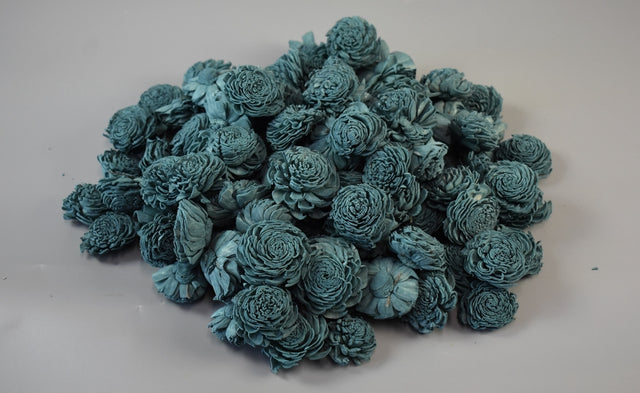 Image for Capete anemone minf 4cm prep.albastru deschis S/15