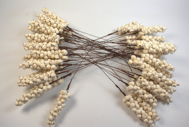 Image for Struguri ming natur