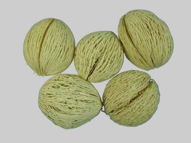 Image for Mintola 7-9cm inalbit