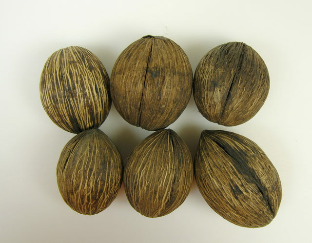 Image for Mintola 7-9cm natur