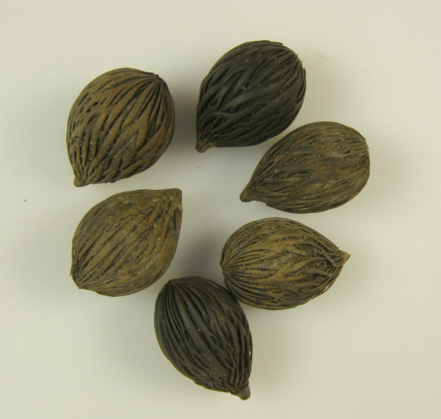 Image for Mintola mini natur