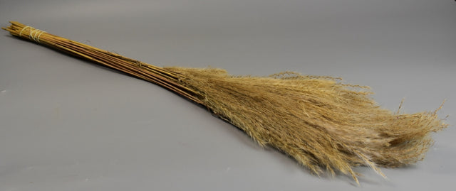 Image for Iarba Japoneza Miscanthus natur