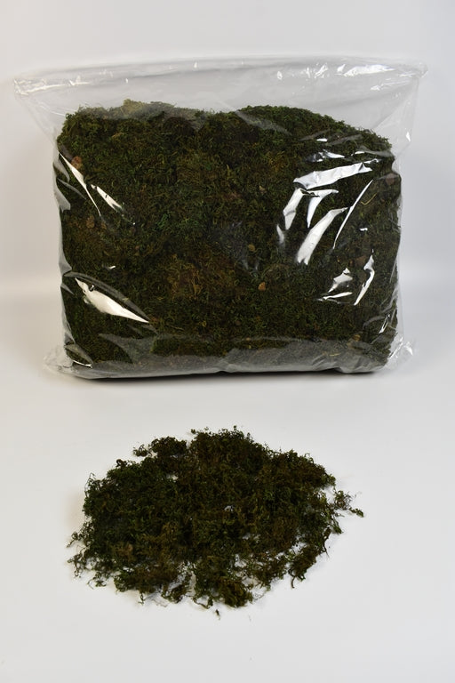 Image for Muschi prep.verde muschi