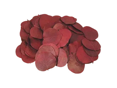Image for Frunze moneta bordeaux