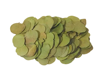 Image for Frunze moneta verde muschi