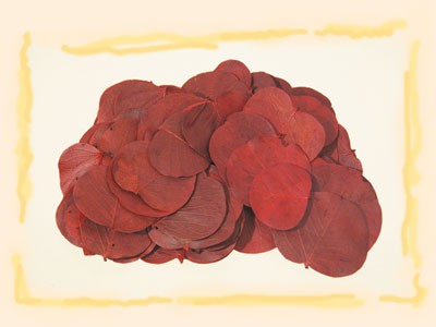 Image for Frunze moneta rosu