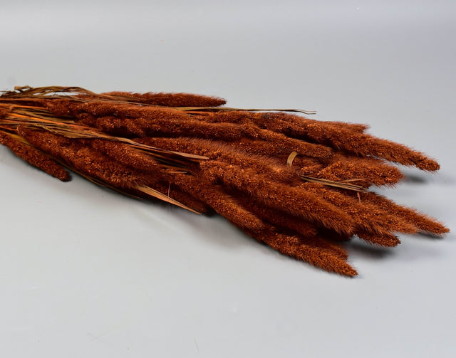 Image for Mohor 100gr maro