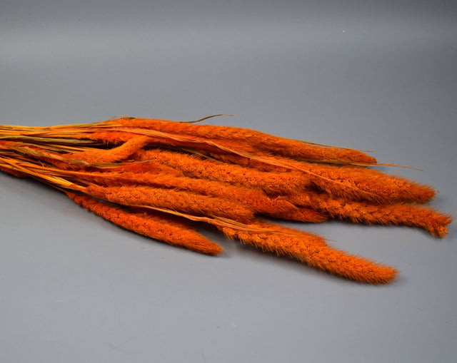 Image for Mohor 100gr inalbit portocaliu