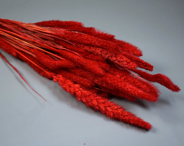 Image for Mohor 100gr inalbit rosu