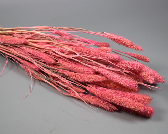 Image for Mohor 100gr inalbit roz