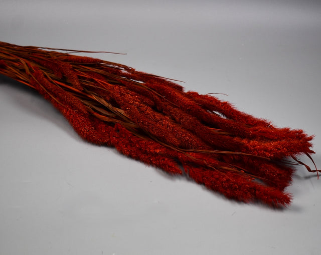 Image for Mohor 100gr rosu