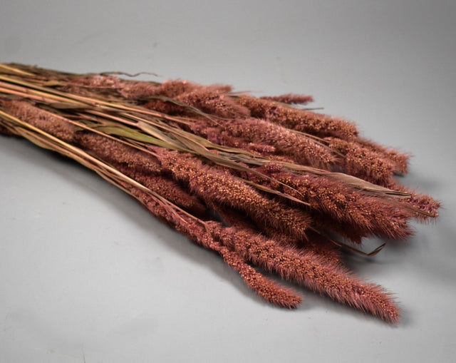 Image for Mohor 100gr roz