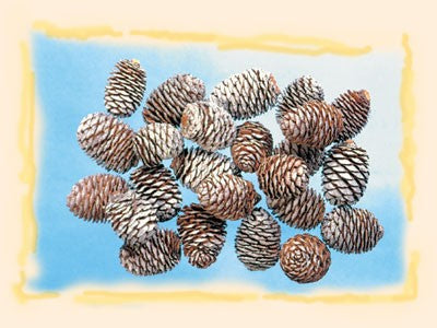 Image for Murii natur