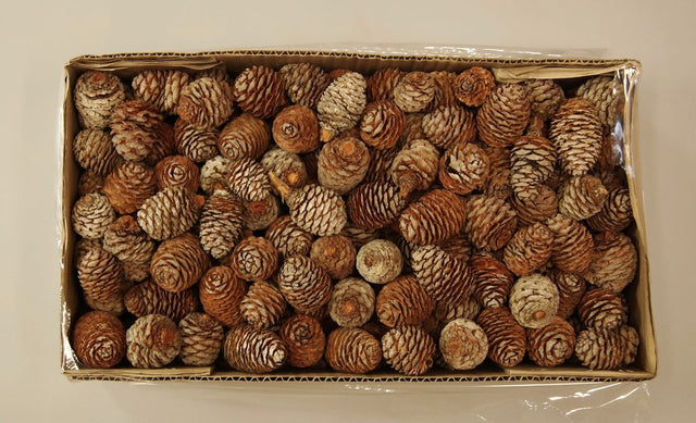 Image for Murii natur 2kg