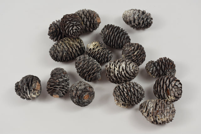 Image for Murii cu chiciura