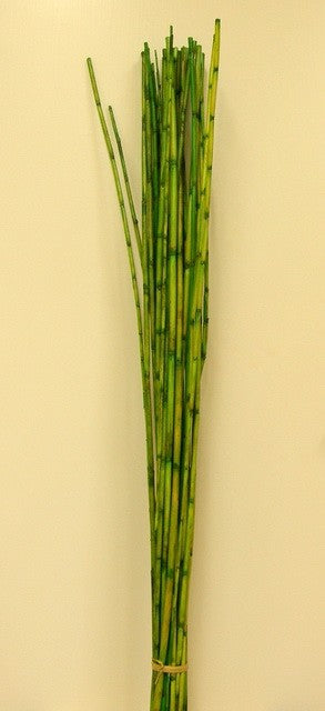 Image for Stuf colorat verde deschis