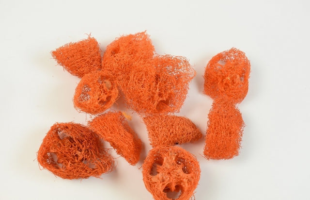 Felii de luffa 1,5cm portocaliu