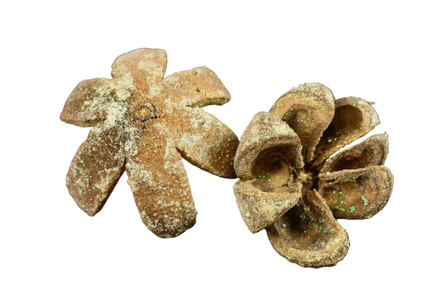 Image for Fructe portocale cu glitter