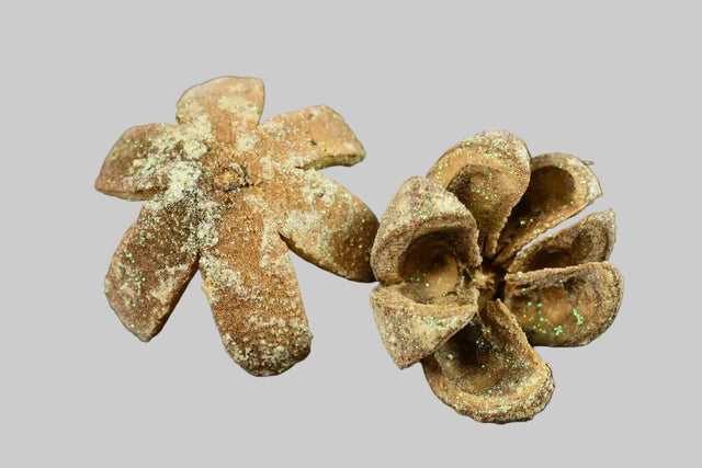 Image for Fructe portocale cu glitter