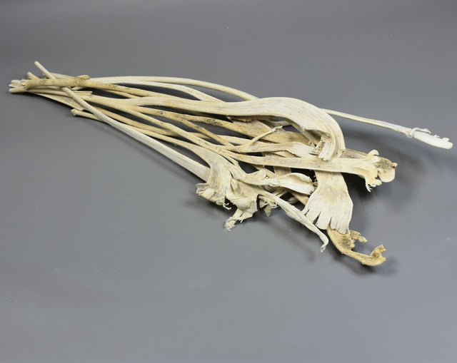 Image for Natra inalbit