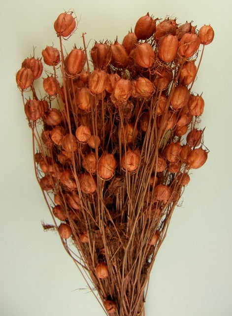 Image for Nigella damascena 100g maro