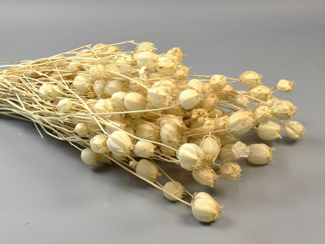 Image for Nigella damascena 100gr inalbit