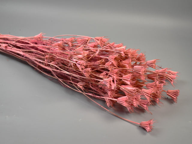 Image for Nigella 100gr inalbit roz