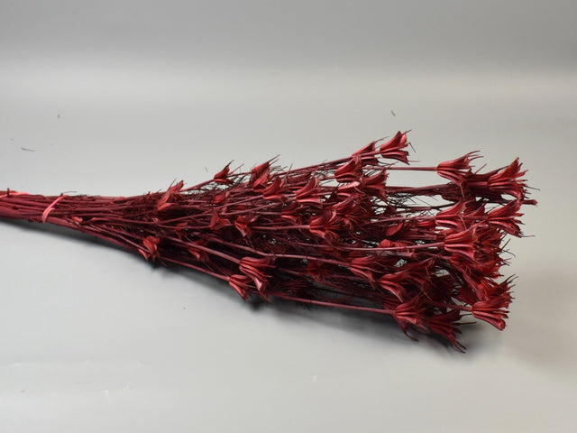 Image for Nigella 100gr rosu